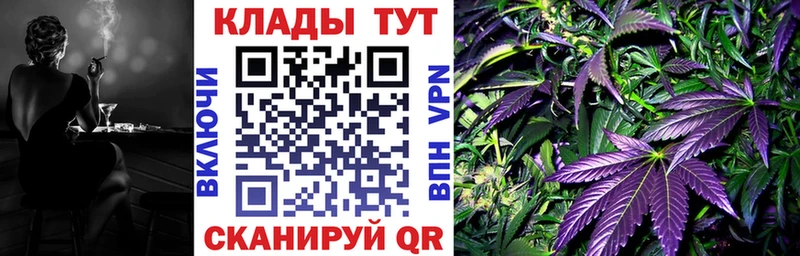 Наркошоп купить МЕТАМФЕТАМИН  КОКАИН  A PVP  МЕФ  Кетамин  ГАШ  Нерюнгри