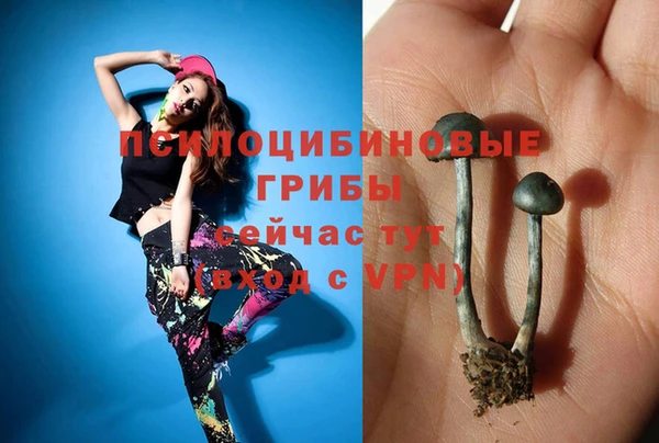 стафф Гусиноозёрск